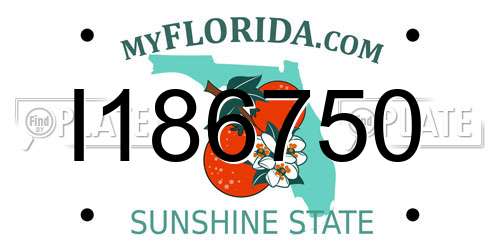 I186750 Florida License Plate
