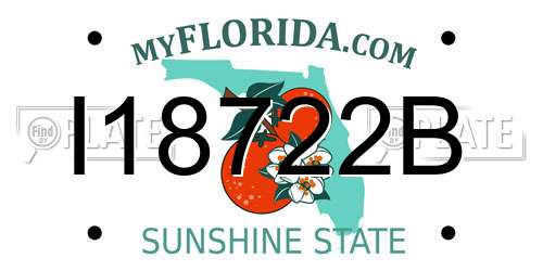 I18722B Florida License Plate