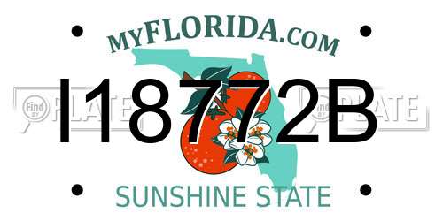 I18772B Florida License Plate