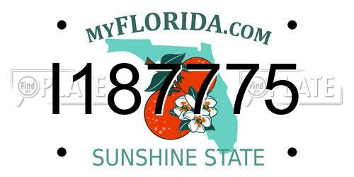 I187775 Florida License Plate