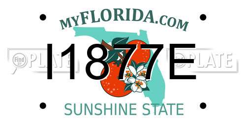 I1877E Florida License Plate