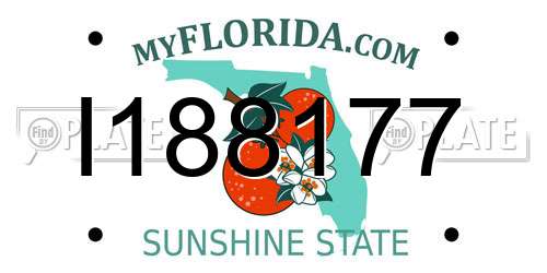 I188177 Florida License Plate