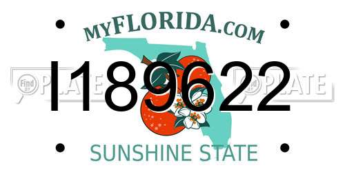 I189622 Florida License Plate