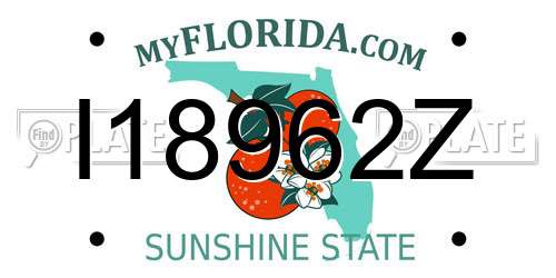 I18962Z Florida License Plate