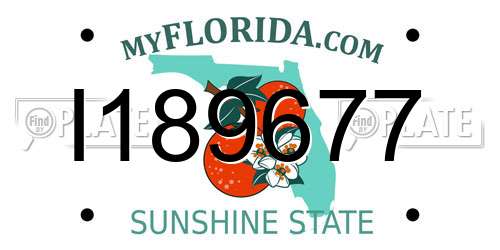 I189677 Florida License Plate