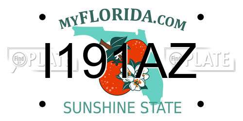 I191AZ Florida License Plate