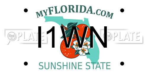 I1WN Florida License Plate