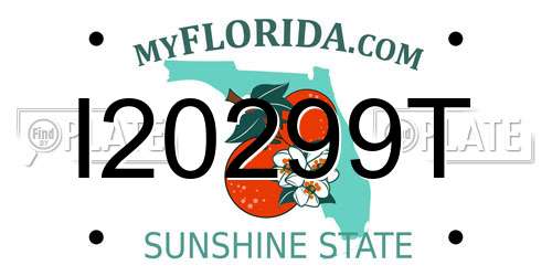I20299T Florida License Plate