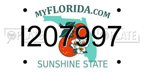 I207997 Florida License Plate
