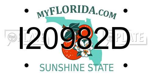 I20982D Florida License Plate