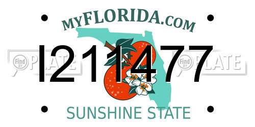 I211477 Florida License Plate