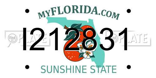 I212831 Florida License Plate