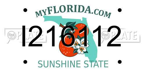 I216112 Florida License Plate