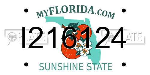 I216124 Florida License Plate