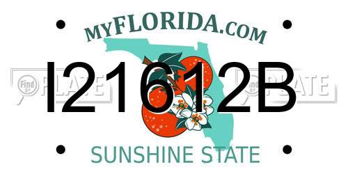 I21612B Florida License Plate