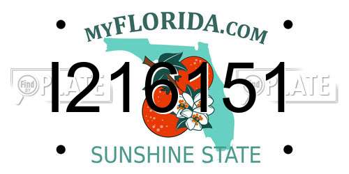 I216151 Florida License Plate