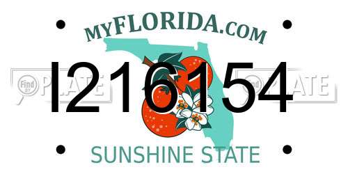 I216154 Florida License Plate