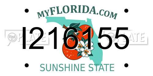 I216155 Florida License Plate