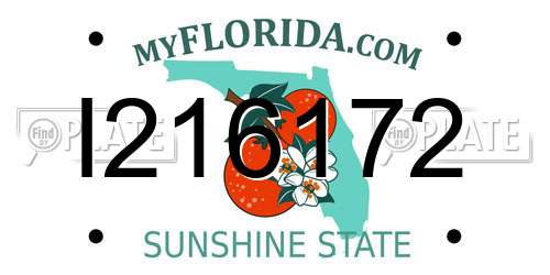 I216172 Florida License Plate