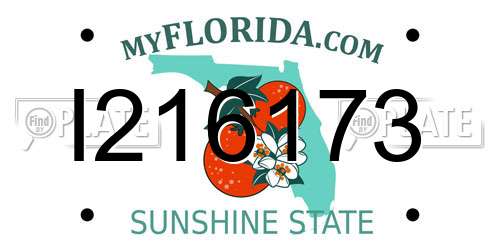 I216173 Florida License Plate