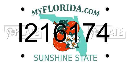 I216174 Florida License Plate