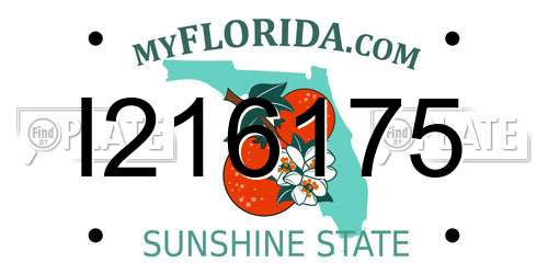 I216175 Florida License Plate
