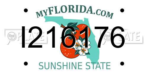 I216176 Florida License Plate