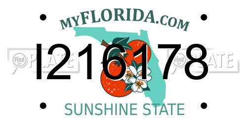 I216178 Florida License Plate