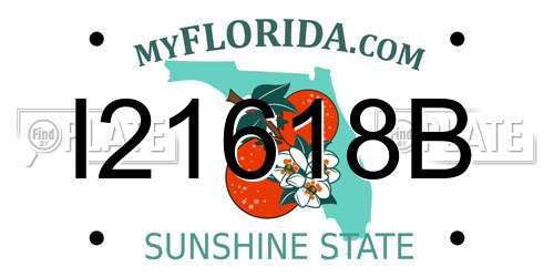 I21618B Florida License Plate