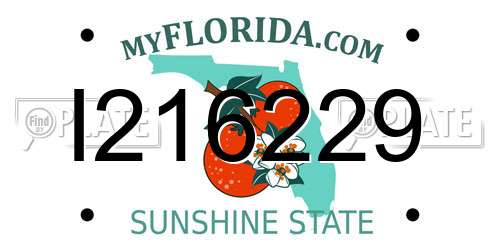 I216229 Florida License Plate