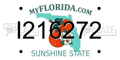 I216272 Florida License Plate