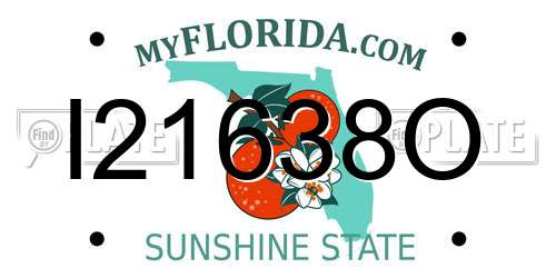 I21638O Florida License Plate