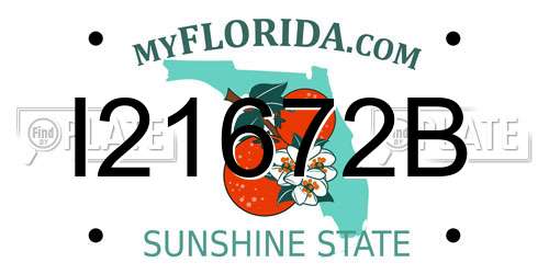 I21672B Florida License Plate