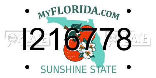 I216778 Florida License Plate