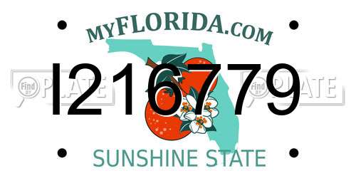 I216779 Florida License Plate