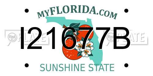 I21677B Florida License Plate