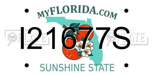 I21677S Florida License Plate