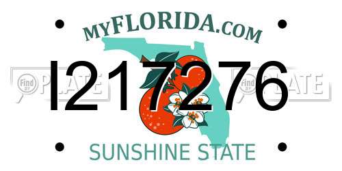 I217276 Florida License Plate