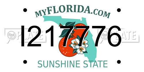 I217776 Florida License Plate