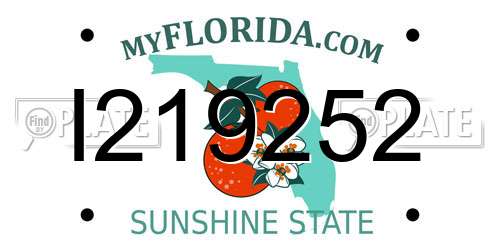 I219252 Florida License Plate