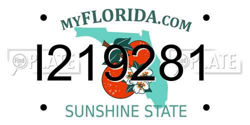 I219281 Florida License Plate