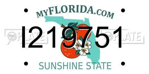 I219751 Florida License Plate