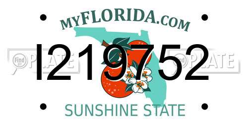 I219752 Florida License Plate