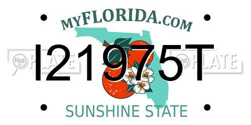 I21975T Florida License Plate