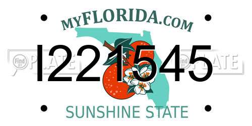 I221545 Florida License Plate