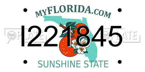 I221845 Florida License Plate
