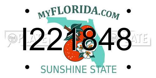 I221848 Florida License Plate