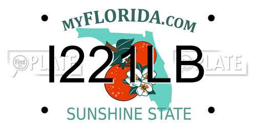 I221LB Florida License Plate