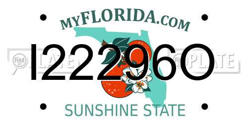 I22296O Florida License Plate