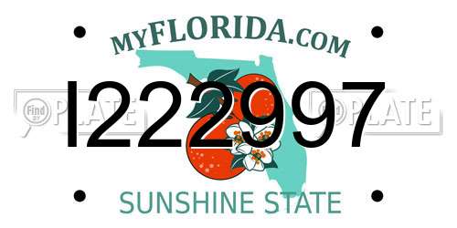 I222997 Florida License Plate